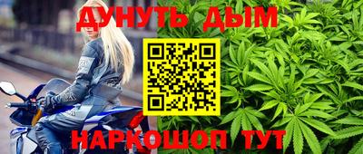 ALPHA PVP Гай