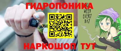ALPHA PVP Гай
