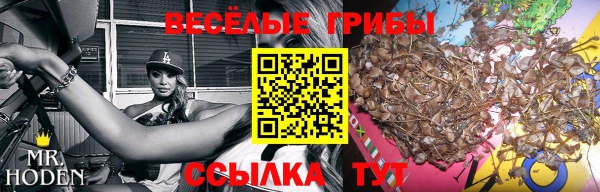 Наро-Фоминск  Галлюциногенные грибы мухоморы  Вход с VPN 